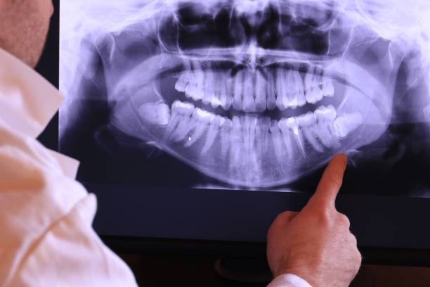 Best Emergency X-Rays and Diagnostics in North Webster, IN